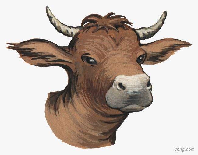 吉林市舒蘭市天德鄉(xiāng)反芻技術(shù)交流會(huì)圓滿成功！